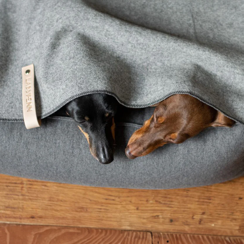 Asnen Pet Blanket - Image 2