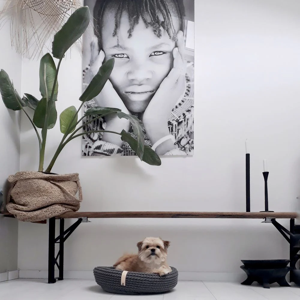 Coco Dog/Cat Bed - Image 3