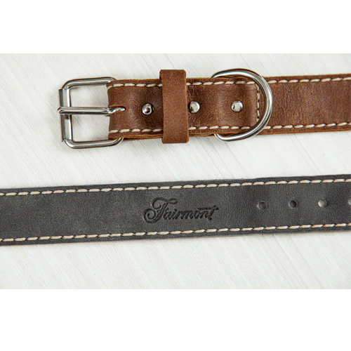 Fairmont Dog Collar - Grey - Image 6