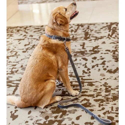 Fairmont Dog Leash - Grey - Image 4
