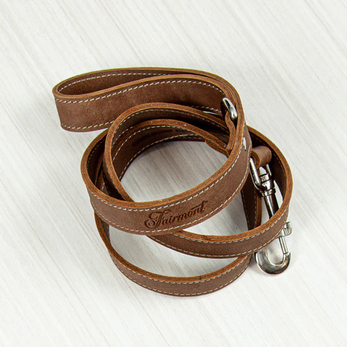 Fairmont Dog Leash - Tan - Image 4