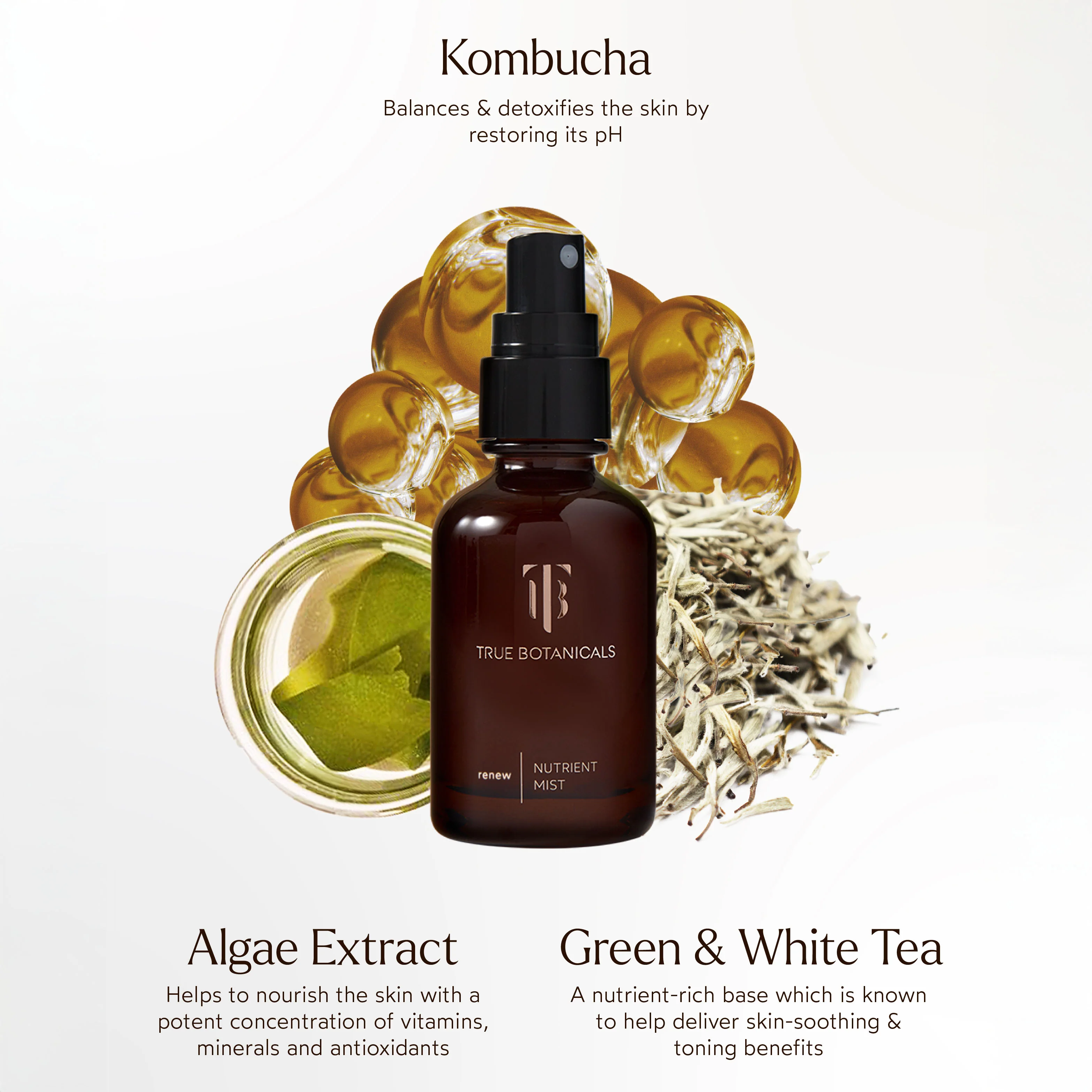 Renew Nutrient Mist - Image 3